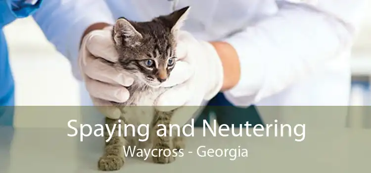 Spaying and Neutering Waycross - Georgia