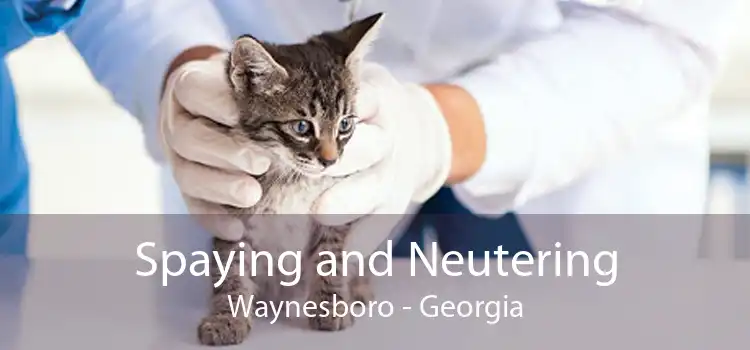 Spaying and Neutering Waynesboro - Georgia