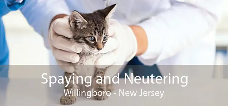 Spaying and Neutering Willingboro - New Jersey