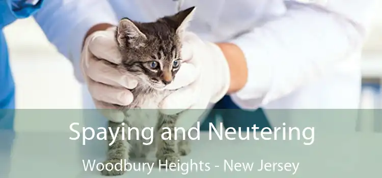 Spaying and Neutering Woodbury Heights - New Jersey