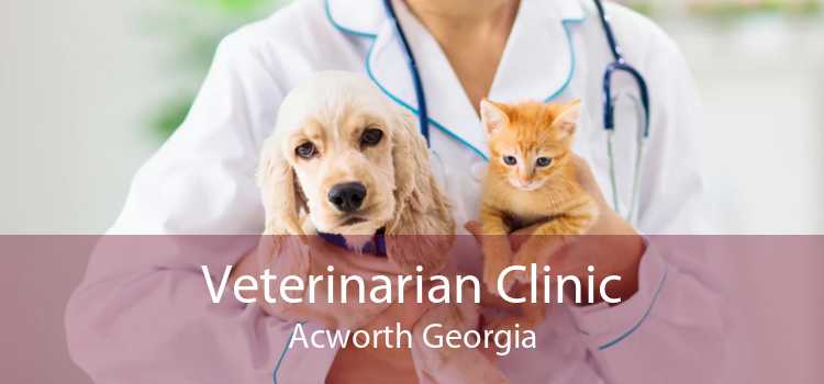 Veterinarian Clinic Acworth Georgia