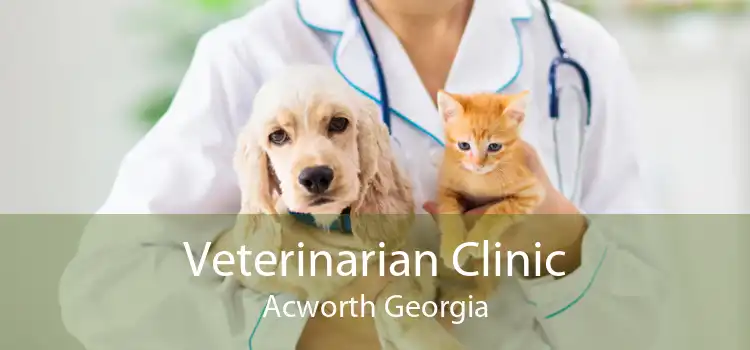 Veterinarian Clinic Acworth Georgia