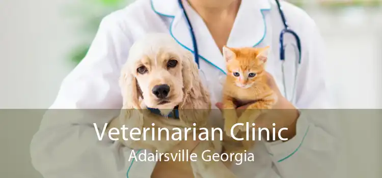 Veterinarian Clinic Adairsville Georgia