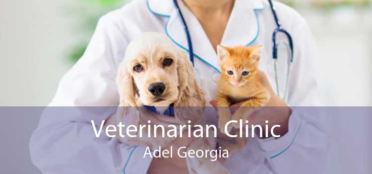 Veterinarian Clinic Adel Georgia