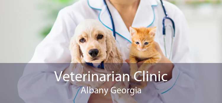 Veterinarian Clinic Albany Georgia
