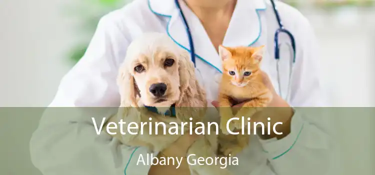 Veterinarian Clinic Albany Georgia