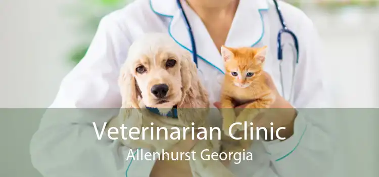Veterinarian Clinic Allenhurst Georgia
