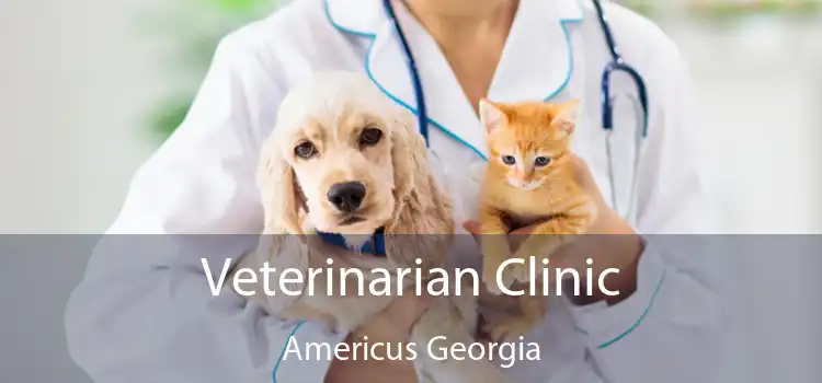 Veterinarian Clinic Americus Georgia