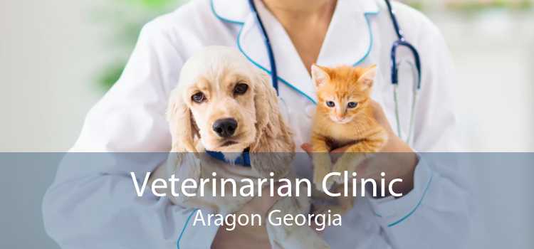 Veterinarian Clinic Aragon Georgia