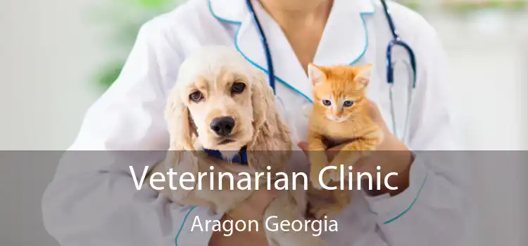 Veterinarian Clinic Aragon Georgia