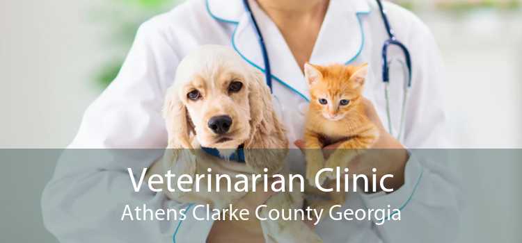 Veterinarian Clinic Athens Clarke County Georgia
