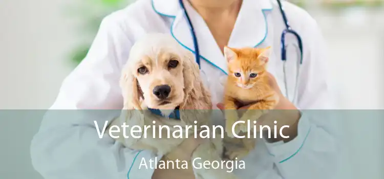 Veterinarian Clinic Atlanta Georgia