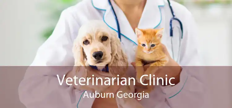 Veterinarian Clinic Auburn Georgia
