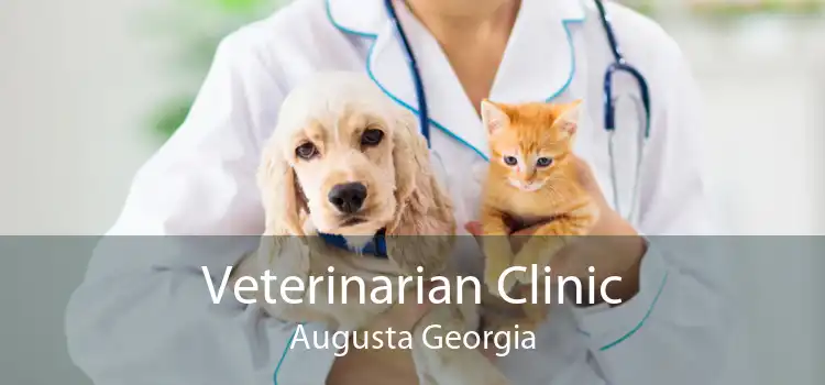 Veterinarian Clinic Augusta Georgia