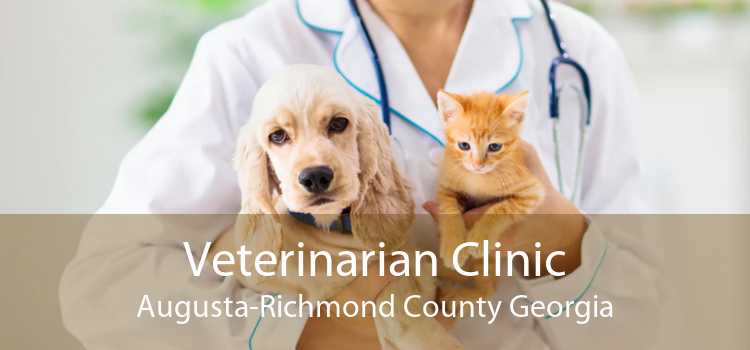 Veterinarian Clinic Augusta Richmond County Georgia