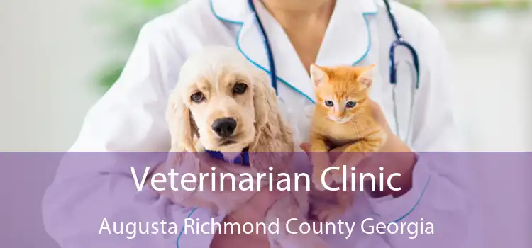 Veterinarian Clinic Augusta Richmond County Georgia