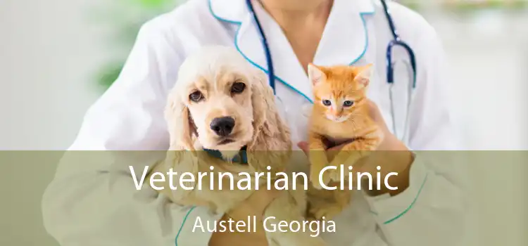 Veterinarian Clinic Austell Georgia