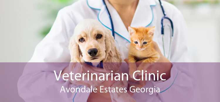 Veterinarian Clinic Avondale Estates Georgia