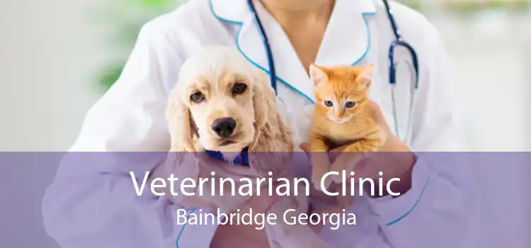 Veterinarian Clinic Bainbridge Georgia