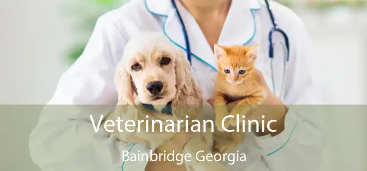 Veterinarian Clinic Bainbridge Georgia