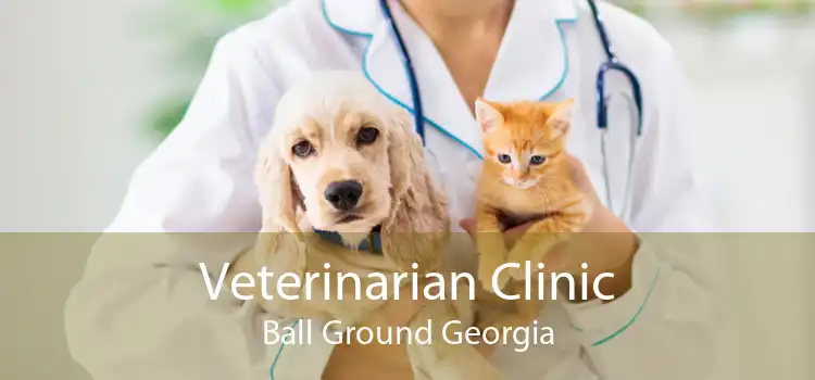 Veterinarian Clinic Ball Ground Georgia