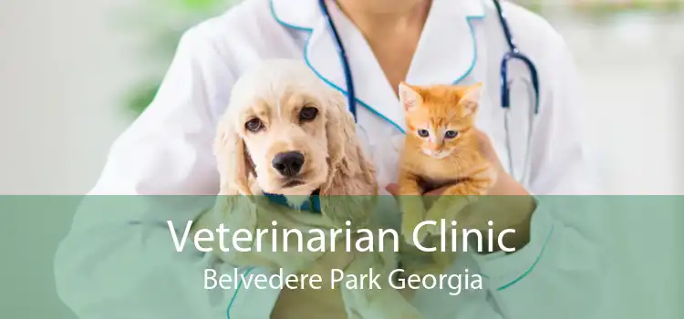 Veterinarian Clinic Belvedere Park Georgia