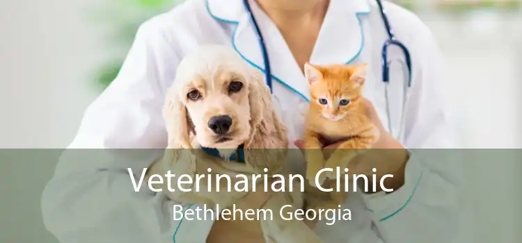 Veterinarian Clinic Bethlehem Georgia