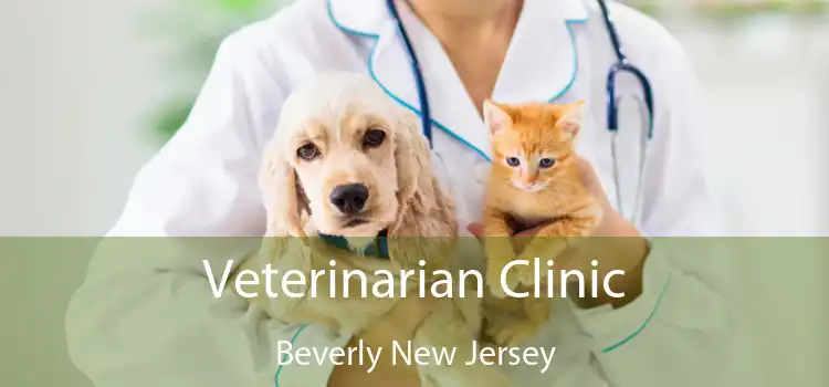 Veterinarian Clinic Beverly New Jersey