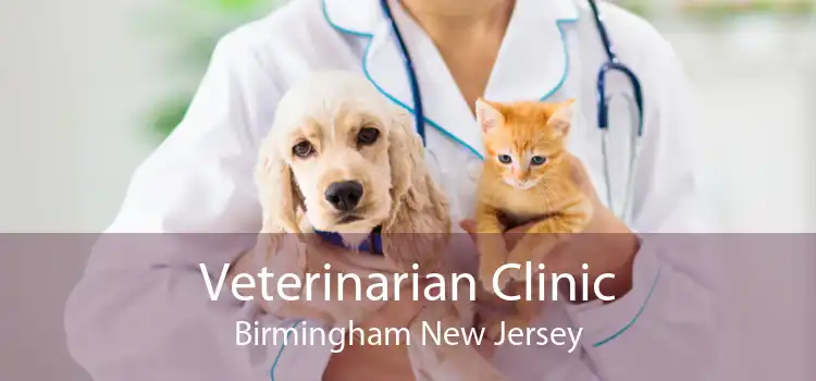 Veterinarian Clinic Birmingham New Jersey