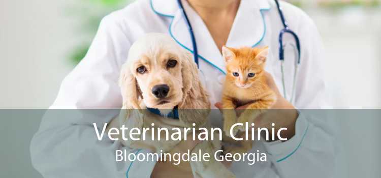 Veterinarian Clinic Bloomingdale Georgia