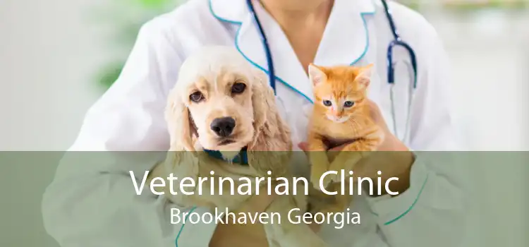 Veterinarian Clinic Brookhaven Georgia
