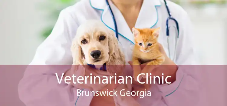Veterinarian Clinic Brunswick Georgia