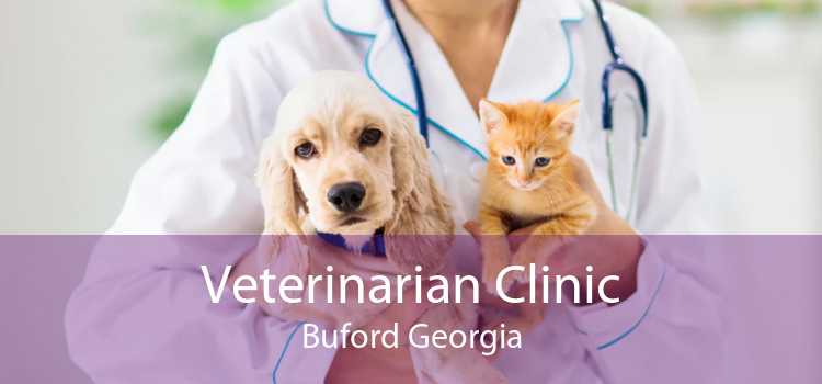 Veterinarian Clinic Buford Georgia
