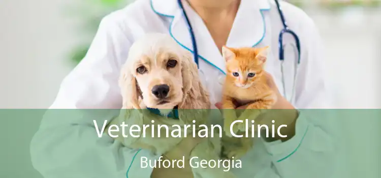 Veterinarian Clinic Buford Georgia