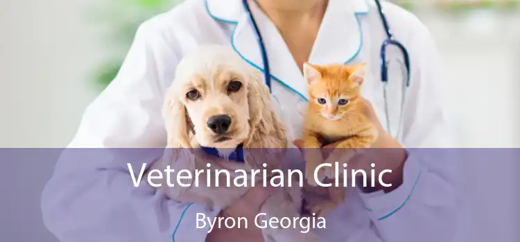 Veterinarian Clinic Byron Georgia