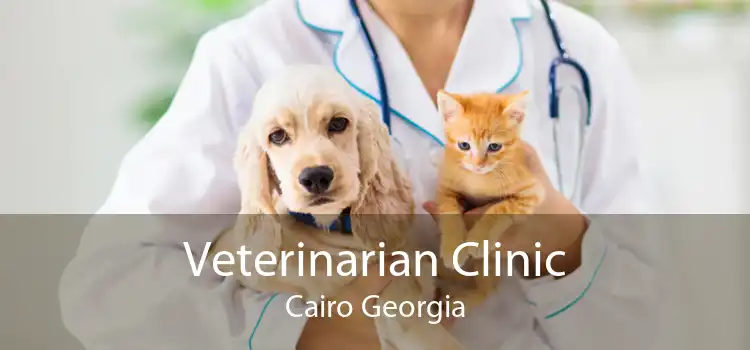 Veterinarian Clinic Cairo Georgia