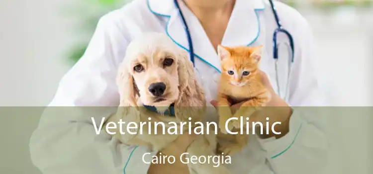 Veterinarian Clinic Cairo Georgia