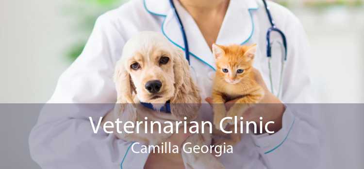 Veterinarian Clinic Camilla Georgia