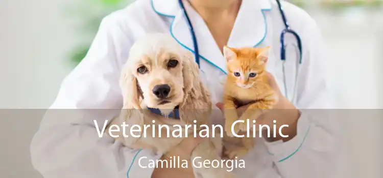 Veterinarian Clinic Camilla Georgia