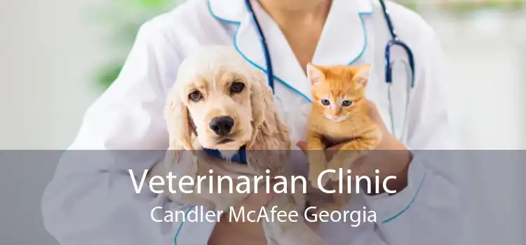 Veterinarian Clinic Candler McAfee Georgia