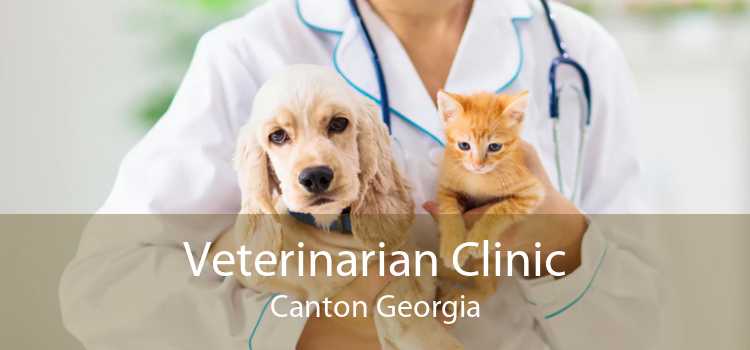 Veterinarian Clinic Canton Georgia