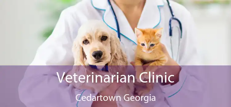 Veterinarian Clinic Cedartown Georgia