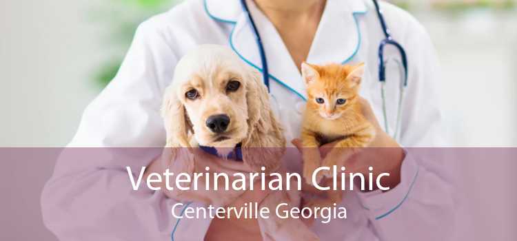 Veterinarian Clinic Centerville Georgia