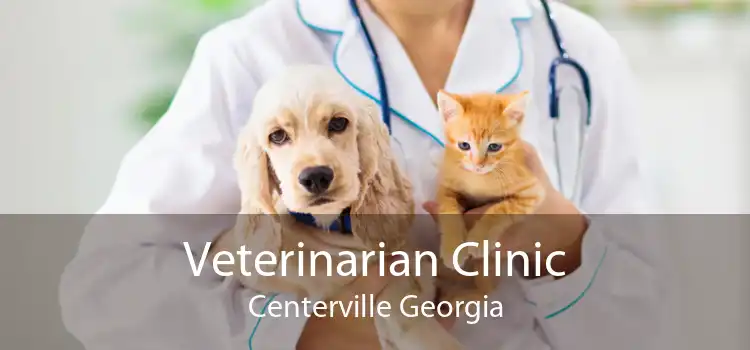 Veterinarian Clinic Centerville Georgia
