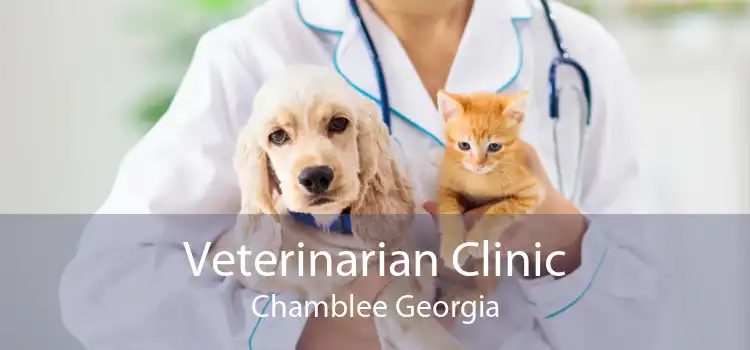 Veterinarian Clinic Chamblee Georgia