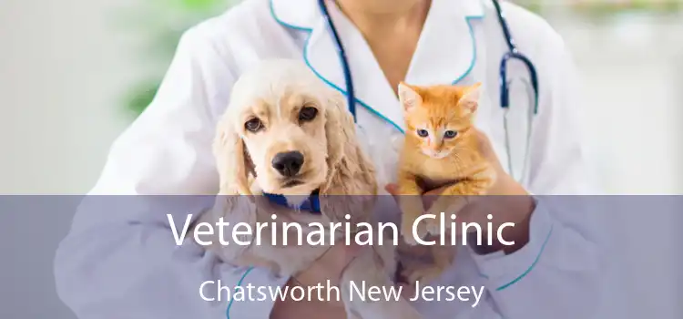 Veterinarian Clinic Chatsworth New Jersey