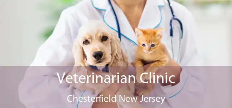 Veterinarian Clinic Chesterfield New Jersey