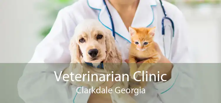 Veterinarian Clinic Clarkdale Georgia