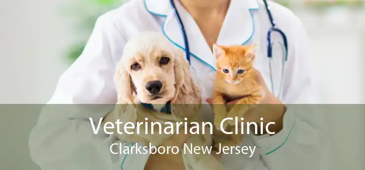 Veterinarian Clinic Clarksboro New Jersey