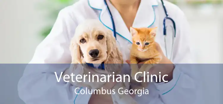Veterinarian Clinic Columbus Georgia